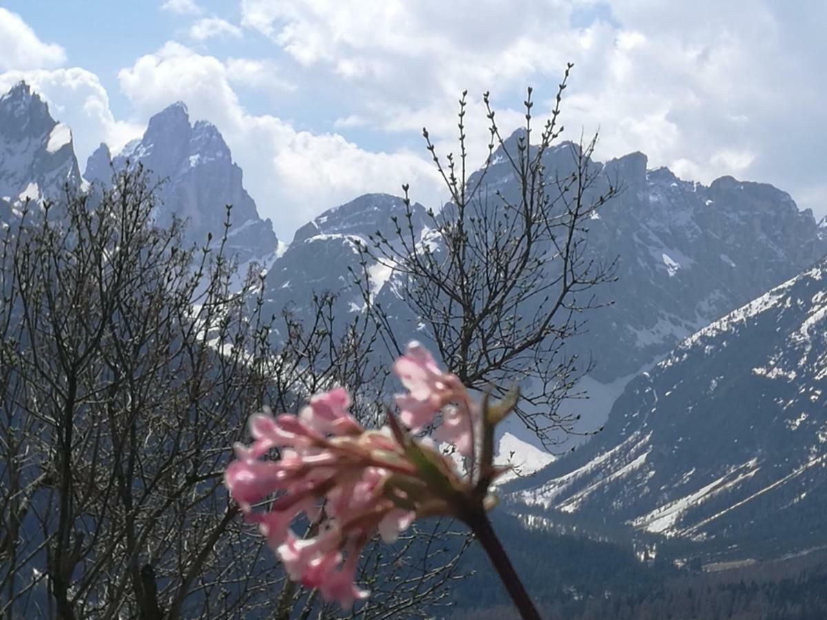 Kofelhof Alojamento de Turismo Rural *