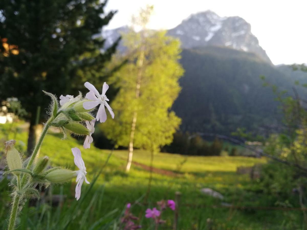 Séjour à la ferme Kofelhof *